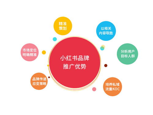 互鼎科技小紅書推廣實戰 品牌口碑提升300%的技術推廣策略