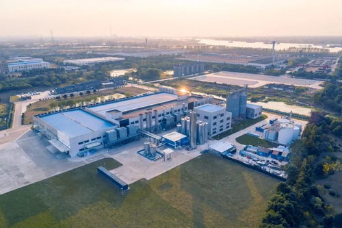 燕麥奶巨頭Oatly 2021年財報解讀 總收入超6億美元，為何能超越市場預期？